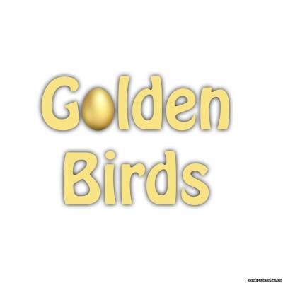   «GOLDEN BIRDS - Игра с Заработком» - КАК ЗАРАБОТАТЬ В ИНТЕРНЕТЕ